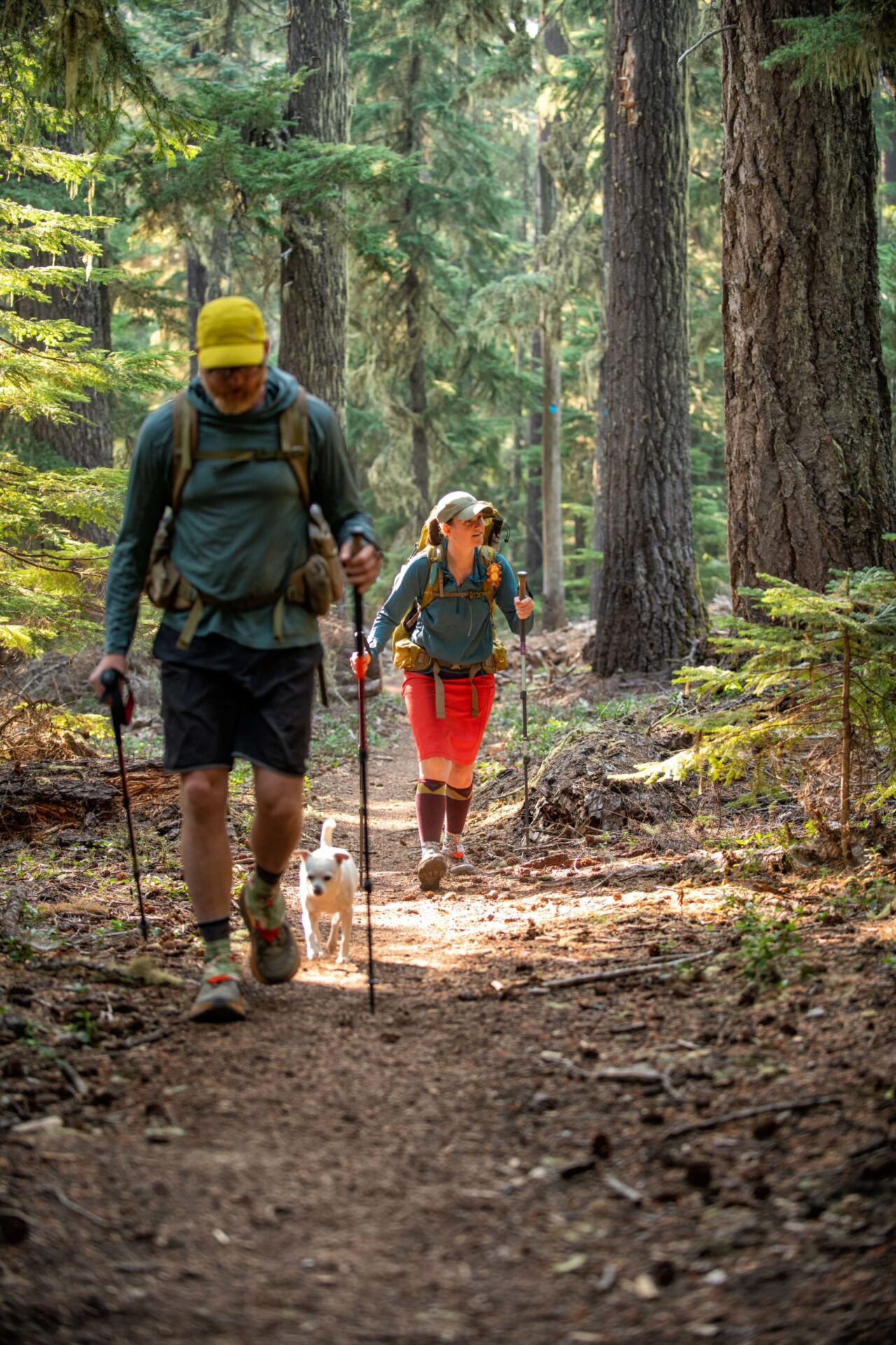 Maiden Lake via the PCT