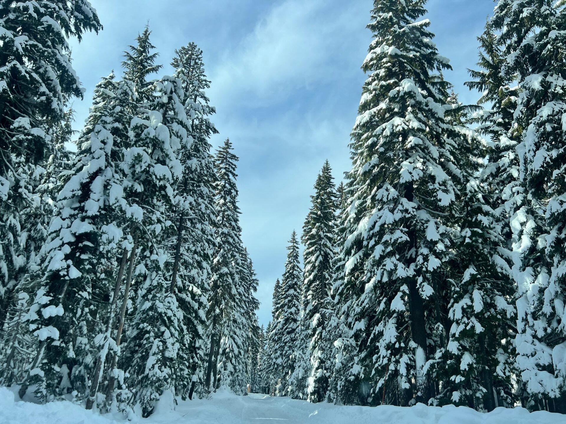 Where Winter Invites A New Sense Of Adventure